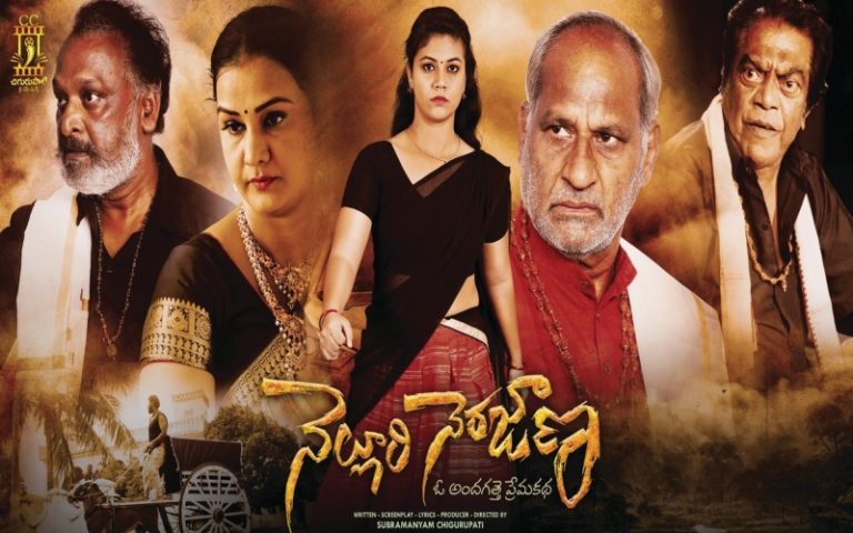 Nelluri Nerajana: Honest Review, Plot Summary, Rating & Hit or Flop!