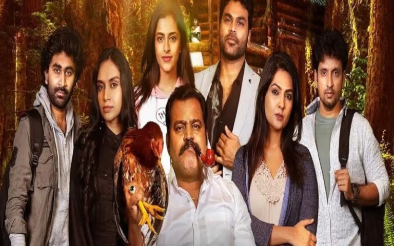 Rajugari Kodipulao: Honest Review, Plot Summary, Rating & Hit or Flop!