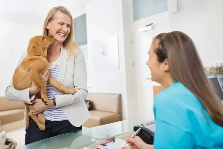 How To Build A Long Term Relationship With Your Pet’s Vet Pet’s Vet