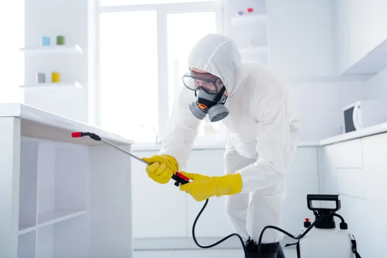 Pest Control Services for Safe Living Spaces Pest Control Services